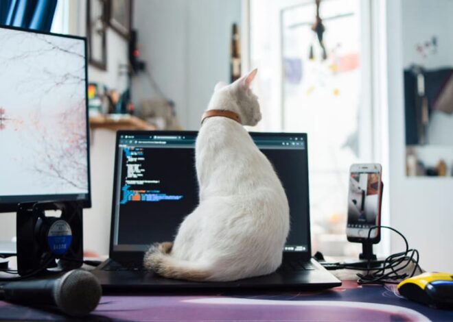 Strategies for Troubleshooting Common Linux Problems With System Logs